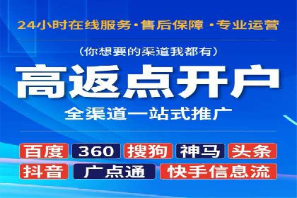 SEM推广策略：成功案例解析